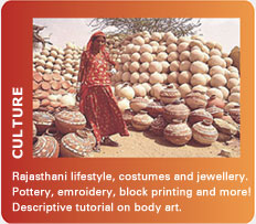 Rajasthan - Culture